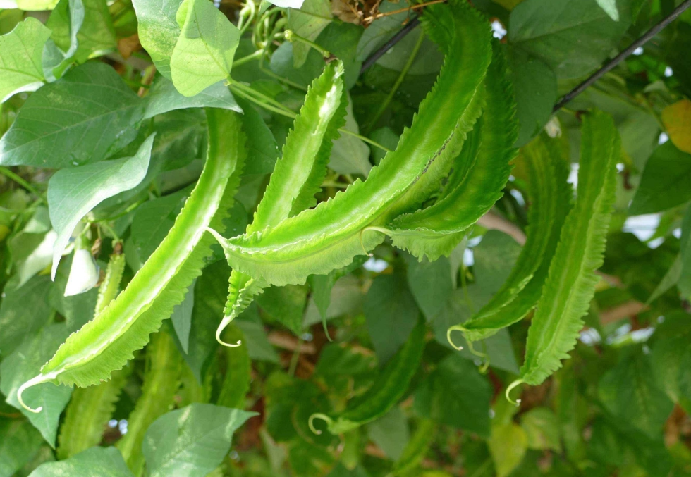 1721033691716668.png 微信截图_20240712165622.png