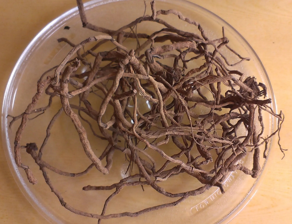 1721034423529729.png 微信截图_20240712170226.png