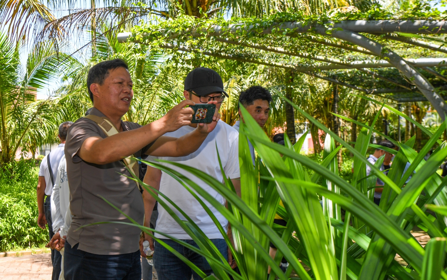 1722673642729266.png 微信截图_20240803141513.png