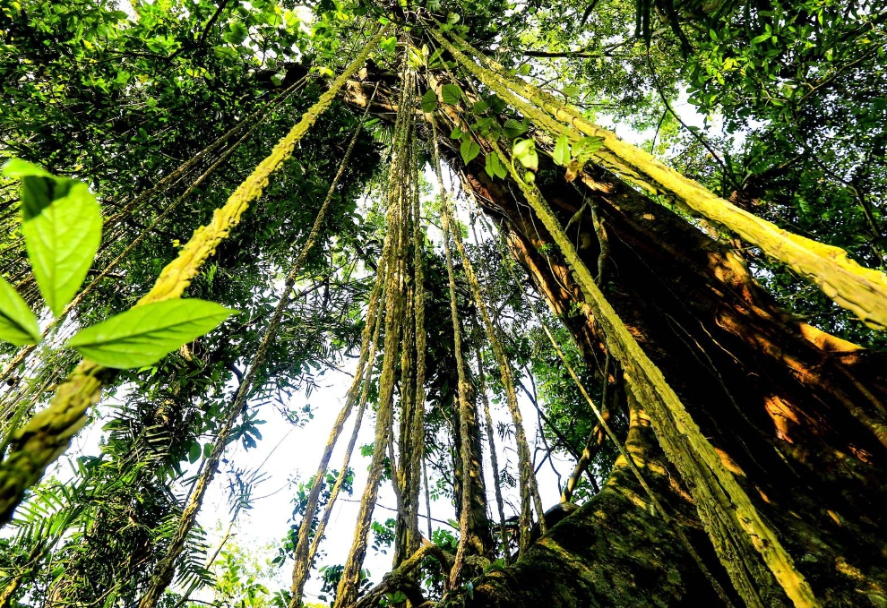 1722845641994460.png 微信截图_20240802171232.png