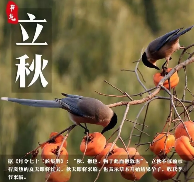 1723015552540237.png 微信截图_20240806155422.png