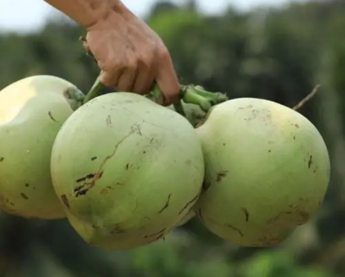 1725349935886470.png 微信截图_20240902151838.png