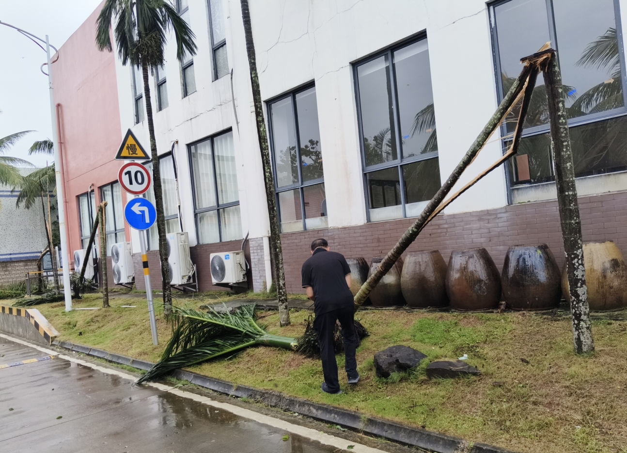 1726035687660811.png 微信截图_20240911105752.png