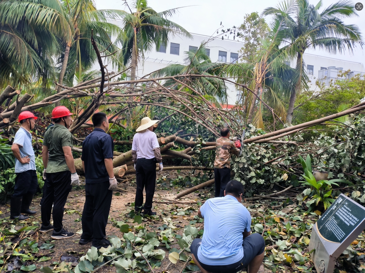 1726035720588690.png 微信截图_20240911105859.png