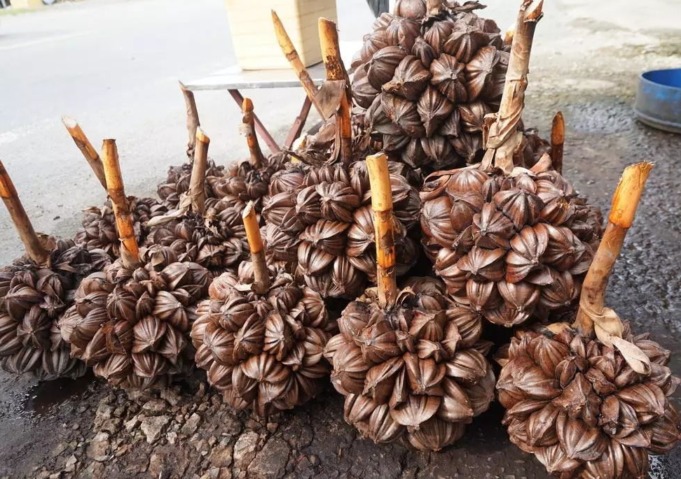 1726127843481509.png 微信截图_20240911104923.png