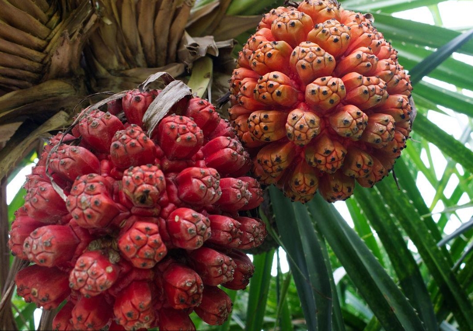 1726731532634234.png 微信截图_20240918152525.png