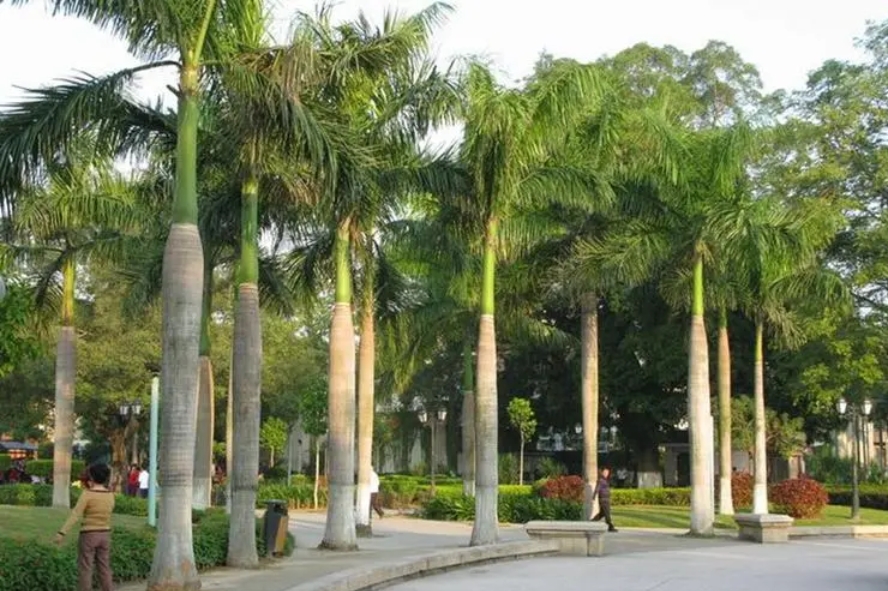 1726732180342733.png 微信截图_20240918153752.png