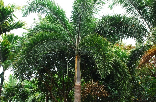 1728455803607032.png 微信截图_20240929172624.png