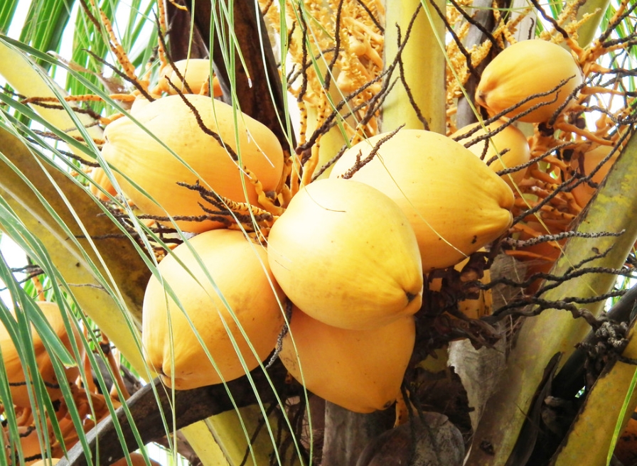 1728456208298092.png 微信截图_20240930152630.png