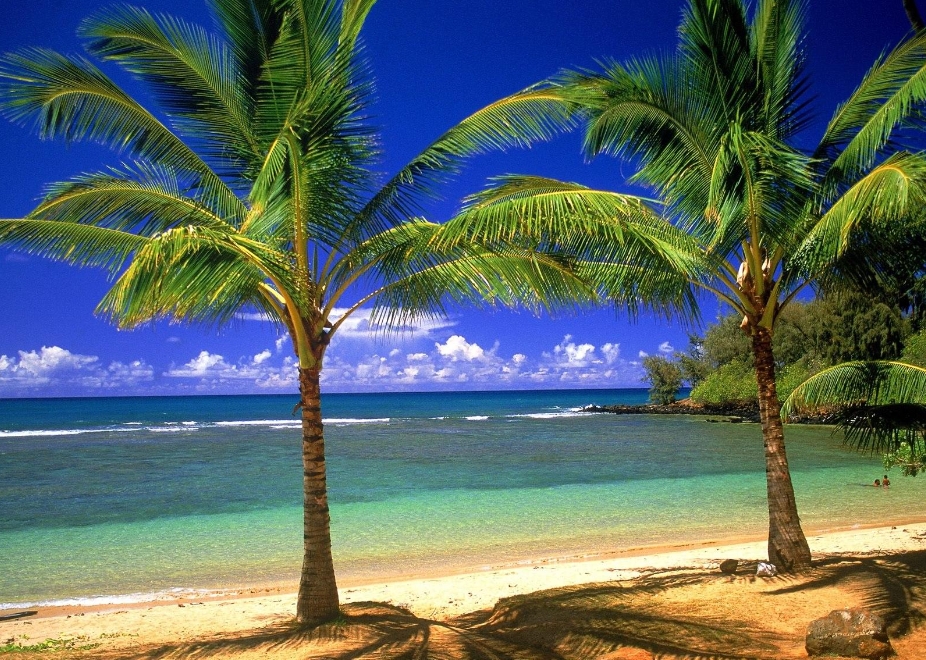 1728890393817420.png 微信截图_20241014110016.png