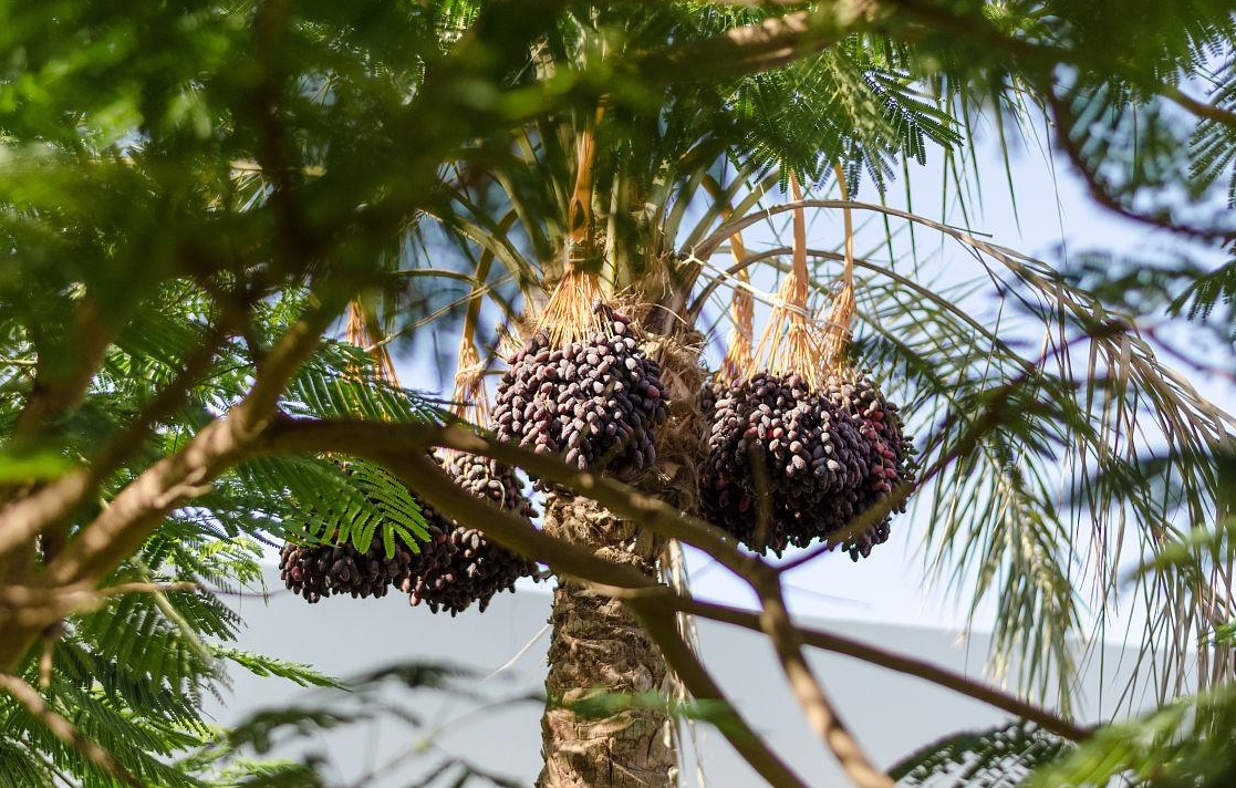 1728890400761513.png 微信截图_20241014110228.png