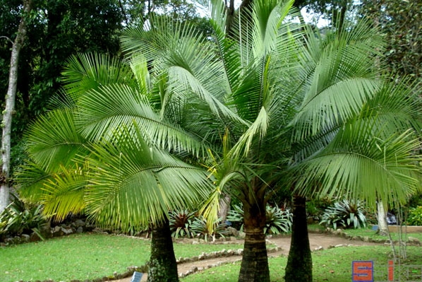 1728890406573712.png 微信截图_20241014105955.png