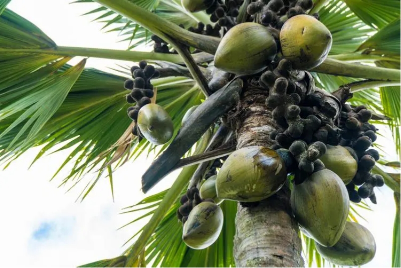 1728974953106935.png 微信截图_20241015095917.png