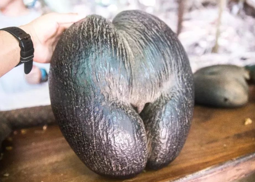 1728974965173412.png 微信截图_20241015100026.png