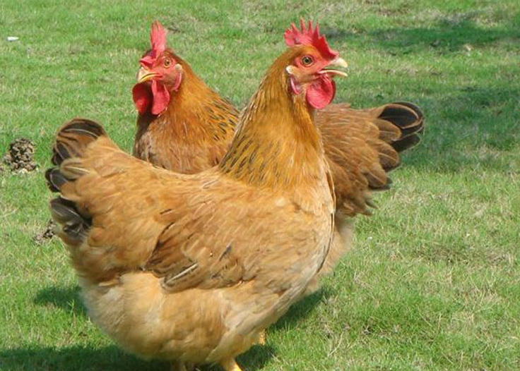 1729494387813664.png 微信截图_20241021111919.png