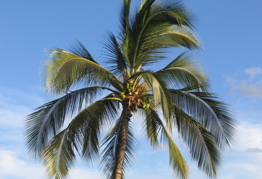 1729750039675708.png 微信截图_20241022120133.png