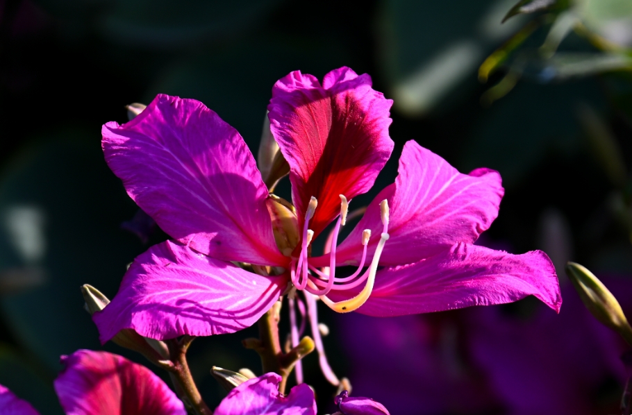 1730874551763893.png 微信截图_20241105105139.png