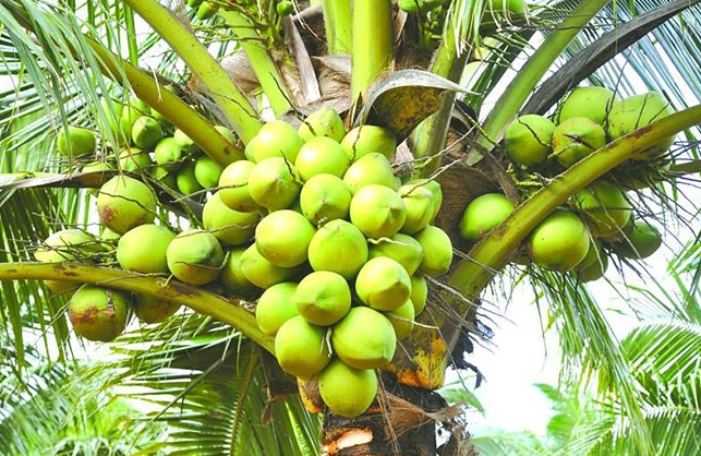 1730877260626268.png 微信截图_20241105115152.png