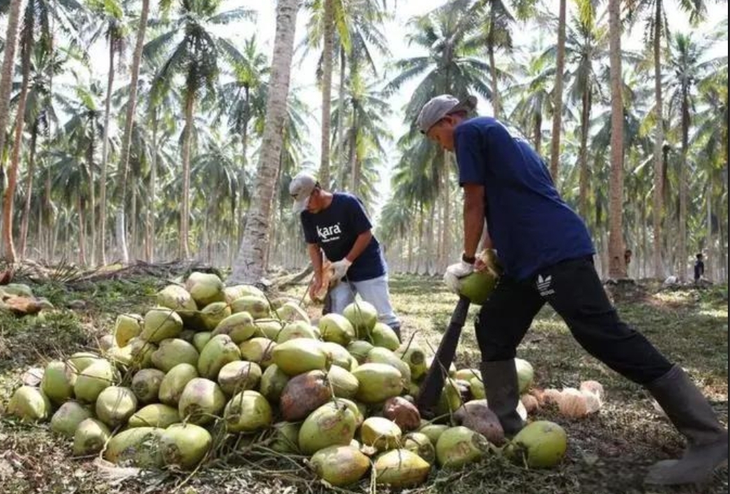 1730877265537125.png 微信截图_20241105115909.png