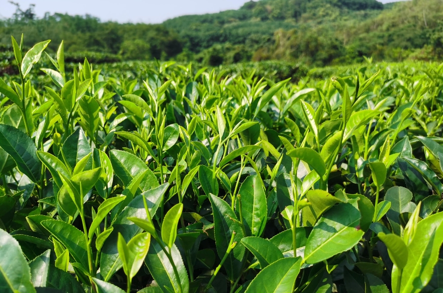 1731478633604484.png 微信截图_20241111112418.png