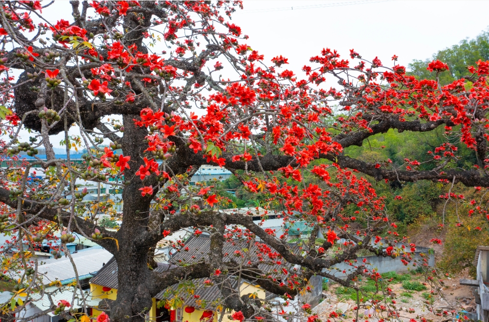 1731997707392666.png 微信截图_20241113115459.png