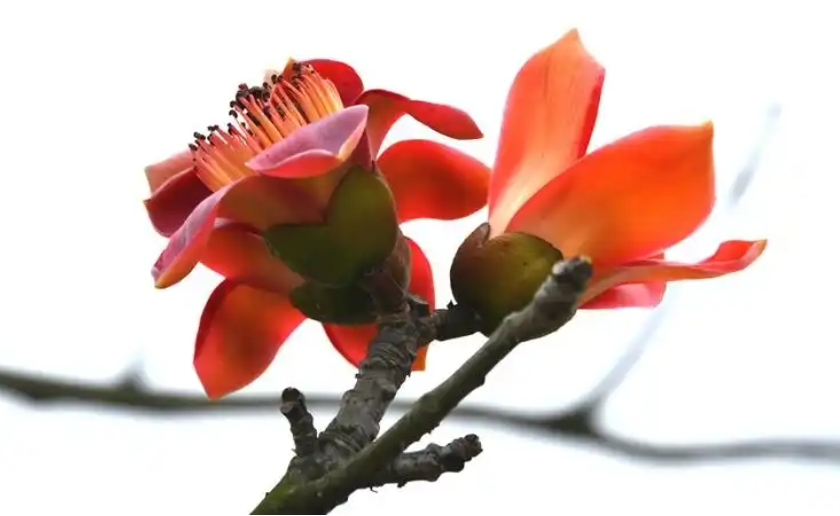 1731997713151271.png 微信截图_20241113103652.png