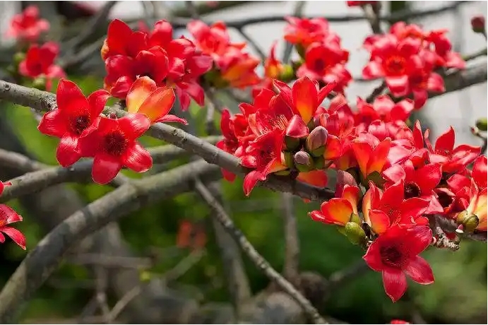 1731997718244836.png 微信截图_20241113115428.png