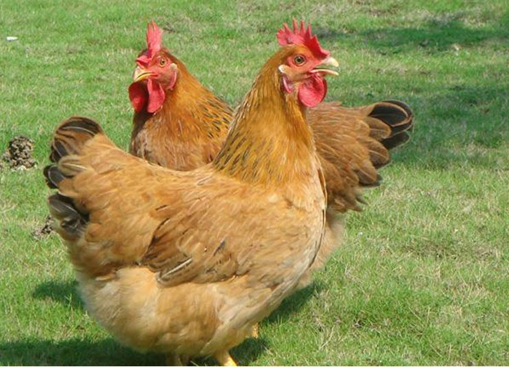 1732679156633940.png 微信截图_20241118110334.png