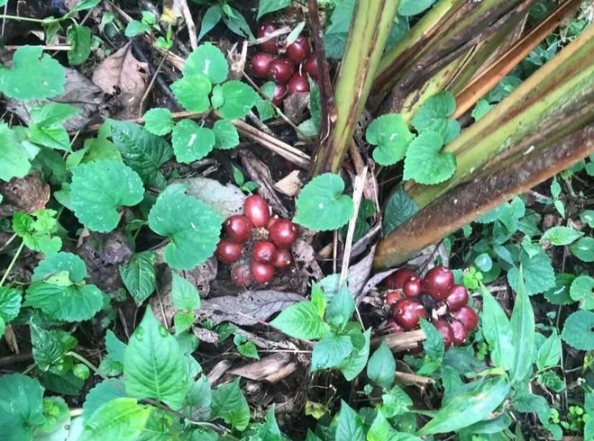 1733812889541581.png 微信截图_20241202151348.png