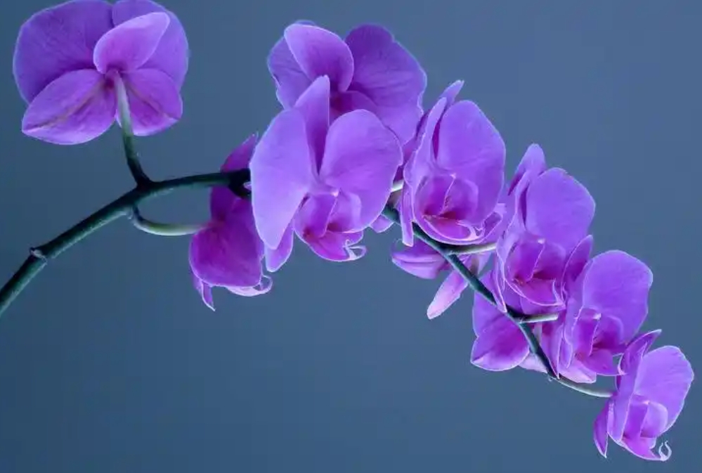 1733984411812077.png 微信截图_20241211140138.png