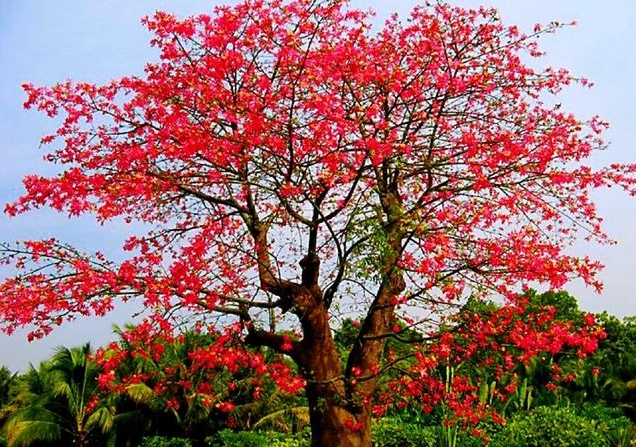 1734504099793092.png 微信截图_20241218112410.png