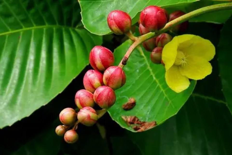 1735201389255208.png 微信截图_20241223145951.png