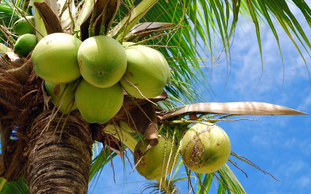 1736924321795213.png 微信截图_20250114110831.png