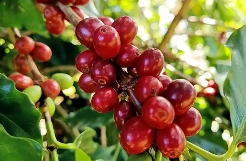 1737014820347256.png 微信截图_20250114115403.png