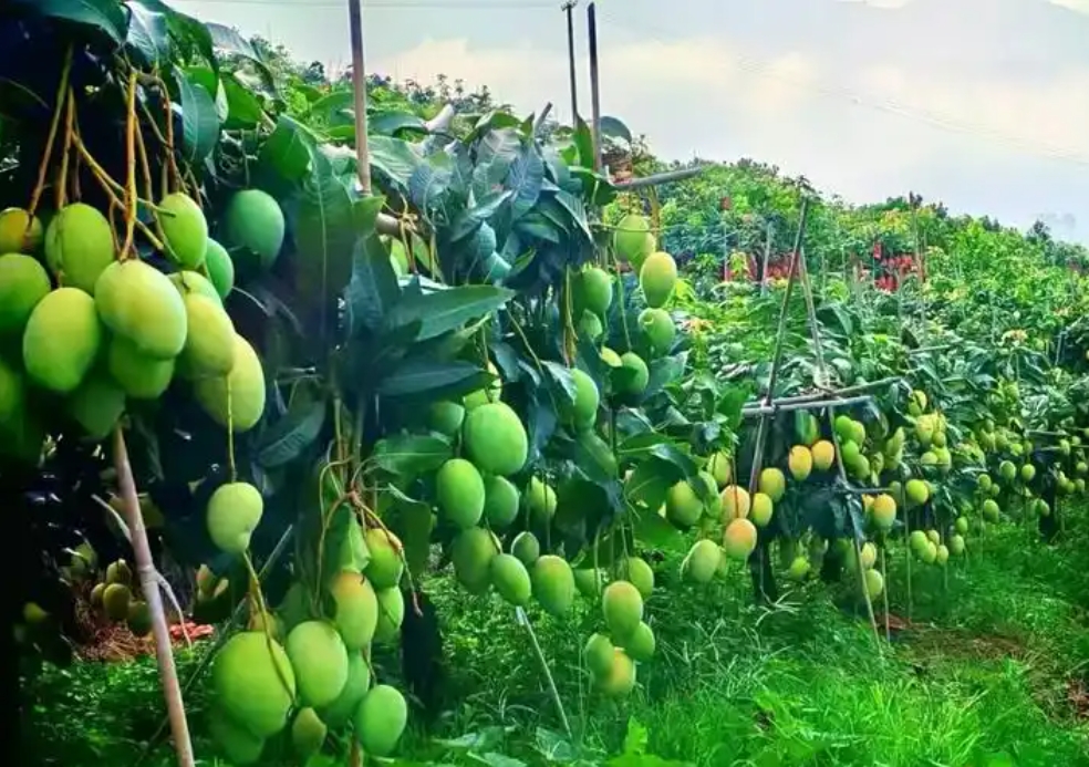 1738999628885221.png 微信截图_20250207111628.png