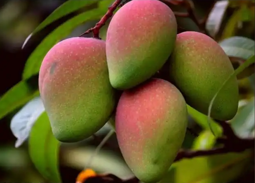 1738999642316550.png 微信截图_20250207111935.png